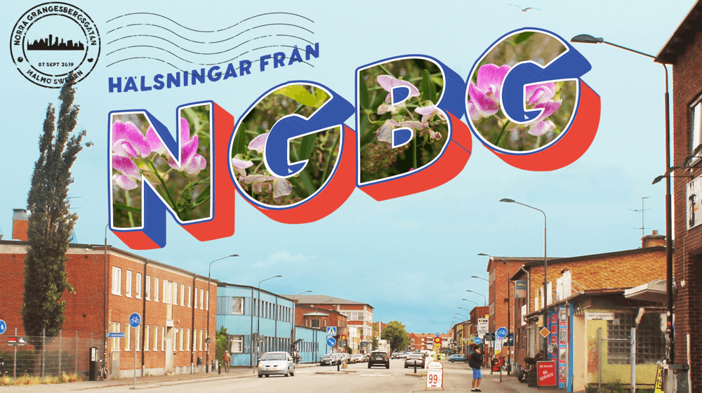 Postcard greetings from  NGBG 1000 560